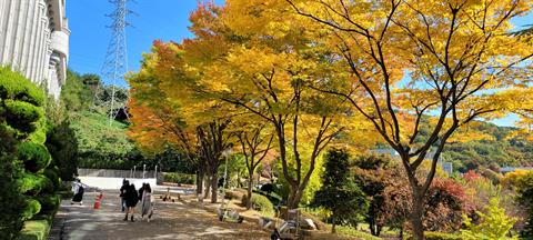 [2021년도 안산대학교 ] 아름다운 캠퍼스
